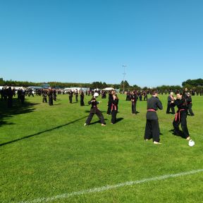 Fußballfeld mit dutzenden Menschen die Shinson Hapkido trainieren, im Vordergrund üben Rotgürtel.