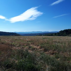 Weiter Blick über ein Stoppelfeld zum hügeligen Horizont. Der Himmel ist klar mit nur vereinzelten Wolken.