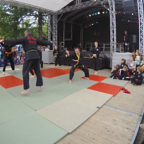 YouTube-Video Kranich-Formlauf