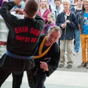 Handkantenschlag in den Bauch.