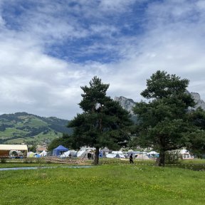 Zwei mittelgroße Nadelbäume verdecken die Sicht auf ein buntes Zeltlager, im Hintergrund bewaldete Hügel und zwischen den Bäumen lassen sich Berge ausmachen.